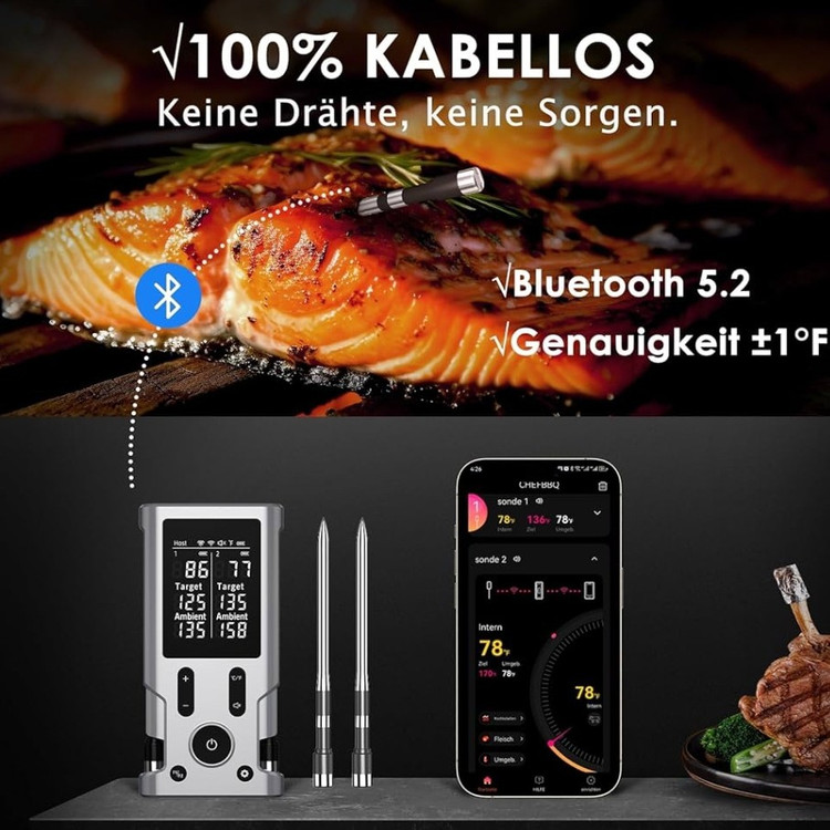 دماسنج گوشت ضدآبIP67برندHK-BQ50