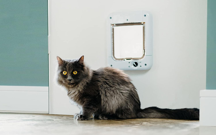 درب قفل دار گربه Cat Mate 360 مخصوص گربه ها، درب قفل دار 4 طرفه، سفید ورودی فعالشده با میکروچیپ، قابلیت ذخیره تا 30 شناسه حیوان خانگی