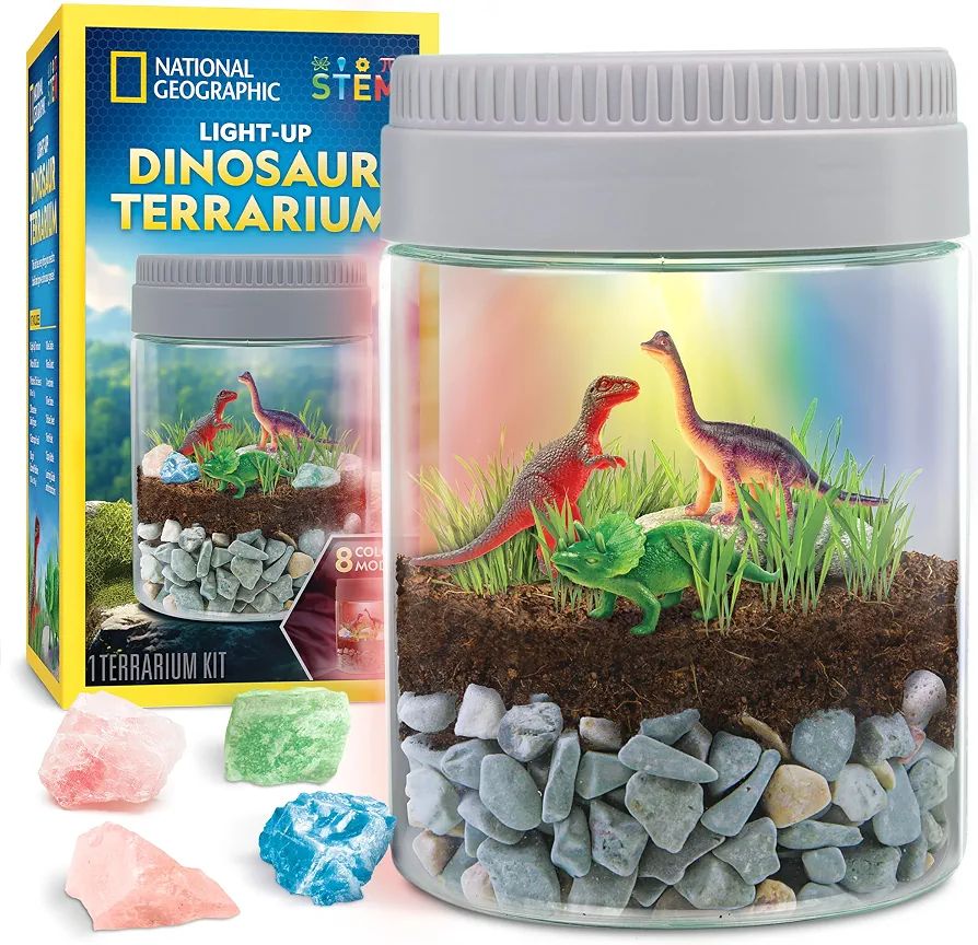 کیت ساخت تراریوم نشنال جئوگرافیک مدل Dinosaur Habitat